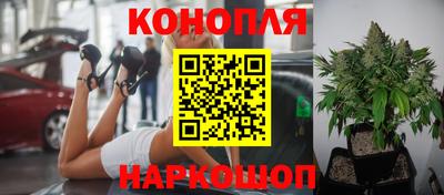 ПСИЛОЦИБИНОВЫЕ ГРИБЫ Малгобек