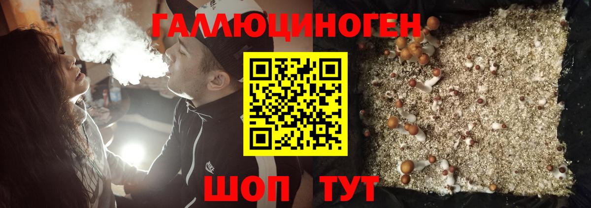 Галлюциногенные грибы прущие грибы Гатчина