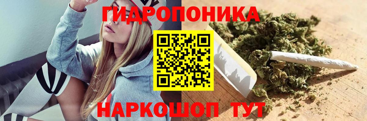 Бошки Шишки White Widow Гатчина